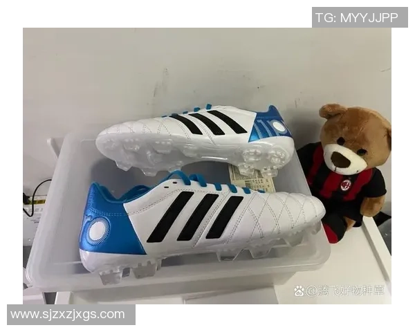 球星推荐的顶级足球鞋选择指南让你轻松挑选适合自己的完美装备